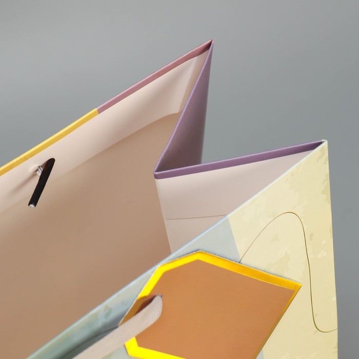 Пакет подарочный ламинированный, упаковка, &laquo;Лови момент&raquo;, 25.4 х 30.5 х 12.7 см