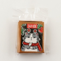 Новогодний значок в коробочке &laquo;Новый год: Котик&raquo; 3,1 х 3,7 см