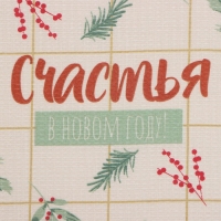 Новый год. Набор полотенец Доляна "Зимние праздники" 28х46 см - 2 шт, 100% хл, вафля 160 г/м2