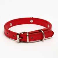 Ошейник "Корона" с металлическим декором и со стразами, 36 х 1,4 см, ОШ 24-31, красный Ошейник "Корона" с металлическим декором и со стразами, 36 х 1,4 см, ОШ 24-31, красный
