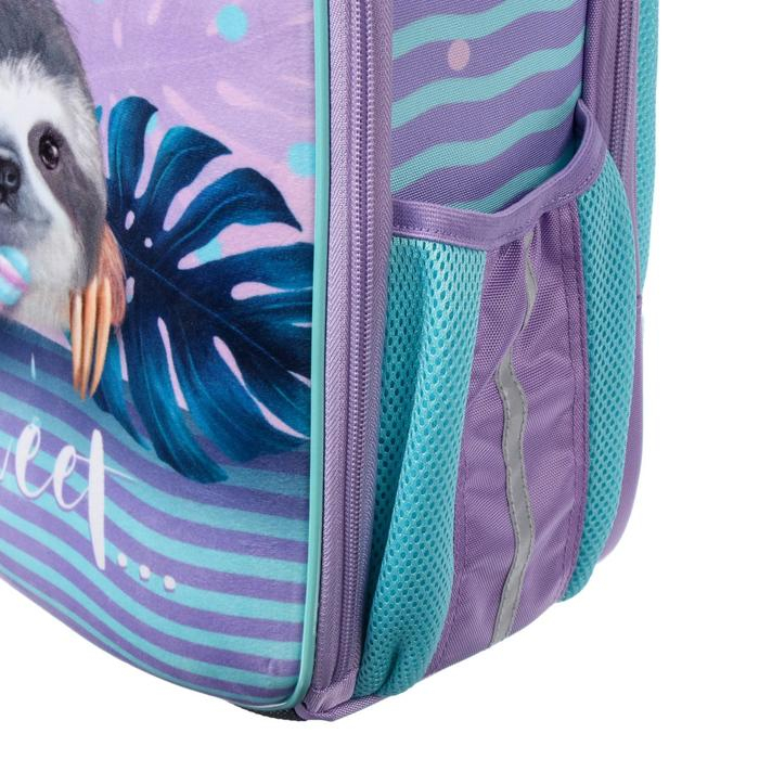 Рюкзак каркасный, Hatber, Ergonomic Plus, 38 х 29 х 16, с термосумкой, &laquo;Милый ленивец&raquo;