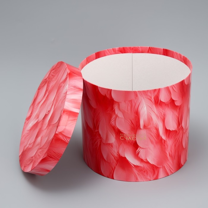 Набор шляпных коробок 5 в 1, упаковка подарочная, «Перья», 13 х 14 ‒ 19.5 х 22 см Набор шляпных коробок 5 в 1, упаковка подарочная, «Перья», 13 х 14 ‒ 19.5 х 22 см