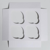 Коробка для капкейков «Новогодняя посылка» 16 х 16 х 10 см, Новый год Коробка для капкейков «Новогодняя посылка» 16 х 16 х 10 см, Новый год