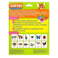 Сортер &laquo;Изучаем животный мир&raquo; с карточками Домана