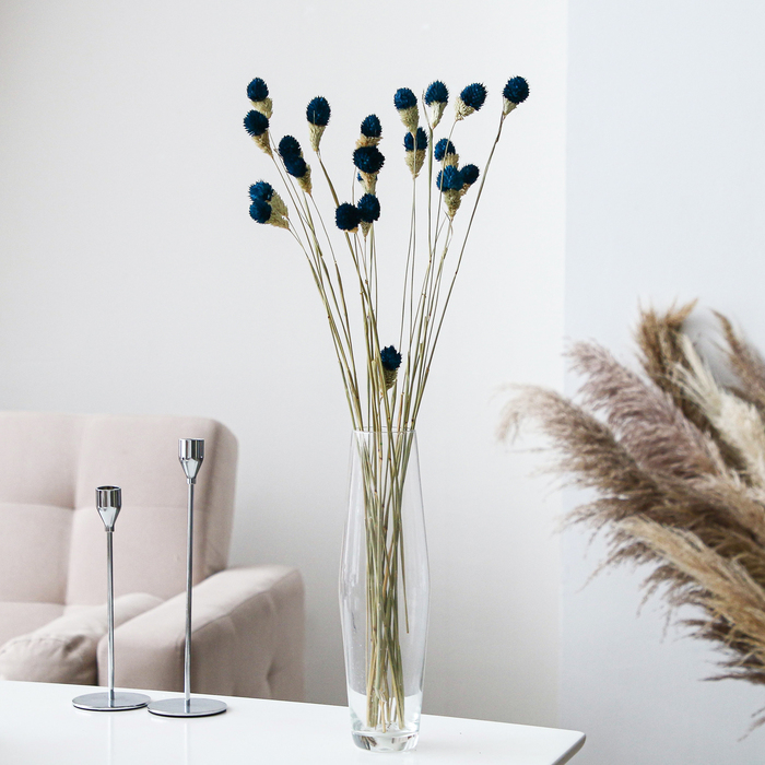 Сухоцвет «Гомфрена шаровидная» набор 20 шт., цвет голубой Сухоцвет «Гомфрена шаровидная» набор 20 шт., цвет голубой