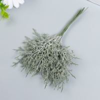Искусственное растение для творчества "Можжевельник" 1 букет=10 веточек серый 15 см Искусственное растение для творчества "Можжевельник" 1 букет=10 веточек серый 15 см