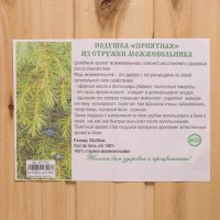 Подушка из стружки можжевельника, 34&times;23см