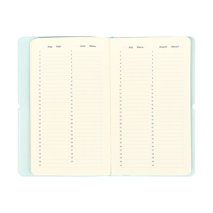 Планинг карманный недатированный, 80 листов, 100х170 мм, deVENTE.Jane, мягкая обложка ПВХ, на резинке, перфорация, ляссе, блок 70%, бирюзовый