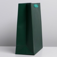 Пакет подарочный ламинированный, упаковка, &laquo;Изумрудный&raquo;, L 31 х 40 х 11.5 см