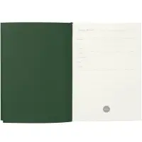 Ежедневник Flat, недатированный, зеленый Ежедневник Flat, недатированный, зеленый