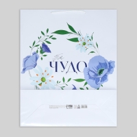 Пакет подарочный ламинированный, упаковка, &laquo;Ты чудо&raquo;, 40 х 49 х 15 см