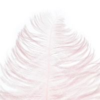 Перо для декора, длина: от 45 до 60 см, цвет розовый Перо для декора, длина: от 45 до 60 см, цвет розовый