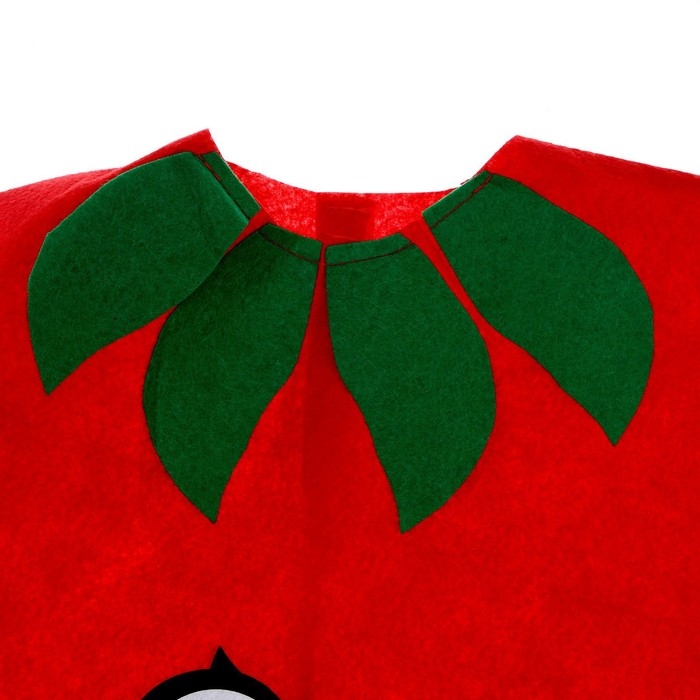 Карнавальный набор &laquo;Красный перчик&raquo;, фетр