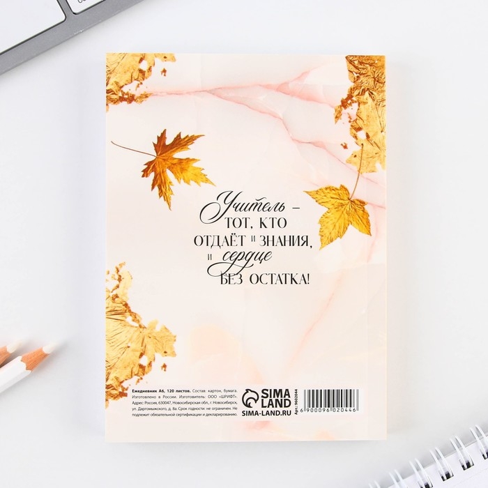 Ежедневник &laquo;Учителю: Золотой учитель&raquo;, формат А6, 120 листов, мягкая обложка