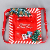 Сумка детская новогодняя «Посылка от Деда Мороза», 35 х 30 см., на новый год Сумка детская новогодняя «Посылка от Деда Мороза», 35 х 30 см., на новый год