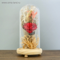 Ночник "Колба с розой в букете" LED 3ААА МИКС 23х11х11 см RISALUX Ночник "Колба с розой в букете" LED 3ААА МИКС 23х11х11 см RISALUX