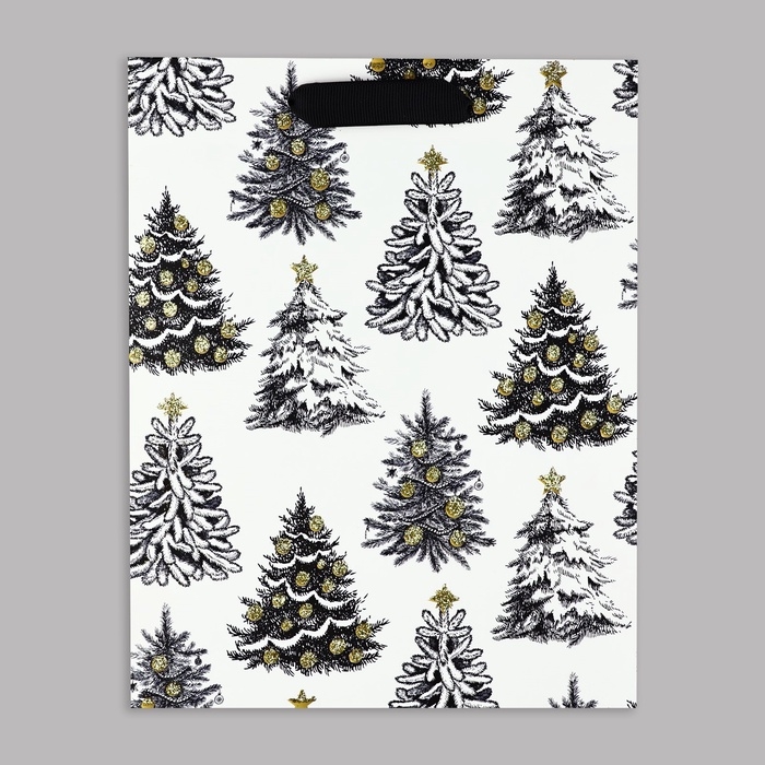 Пакет подарочный новогодний ламинированный &laquo;Зимняя сказка&raquo;, MS 23 x 18 х 10 см