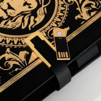 Ежедневник со встроенным зарядным устройством 8000 мАh и флешкой 16 ГБ «Лев», 17,5 х 23,5 см Ежедневник со встроенным зарядным устройством 8000 мАh и флешкой 16 ГБ «Лев», 17,5 х 23,5 см