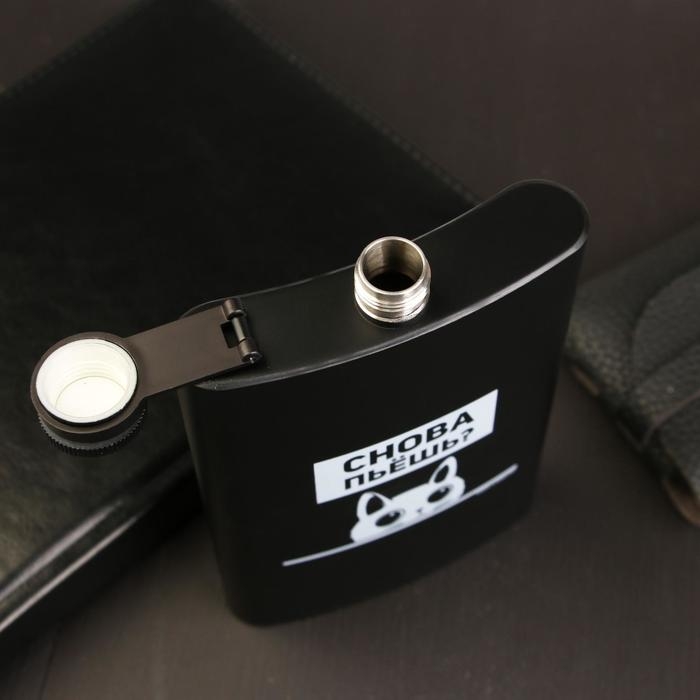 Фляжка &laquo;Снова пьешь?&raquo;, 270 мл