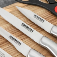 Набор ножей кухонных на подставке &laquo;Блеск стали&raquo;, 6 предметов: 5 ножей лезвие 9,5 см, 13 см, 13,5 см, 20,5 см, 20,5 см, ножницы