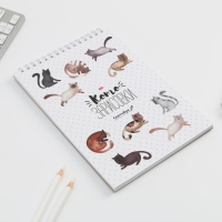 Скетчбук «Кот» А5, 40 л, 100 г/м Скетчбук «Кот» А5, 40 л, 100 г/м