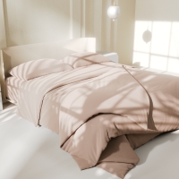 Постельное бельё LoveLife дуэт "Gold sand" 150х215 см-2 шт, 225х240 см, 50х70&plusmn;3 см-2 шт, микрофибра 85 гр