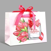 Пакет ламинированный с лентой &laquo;С Днём рождения&raquo;, MS 23 &times; 10 &times; 18 см