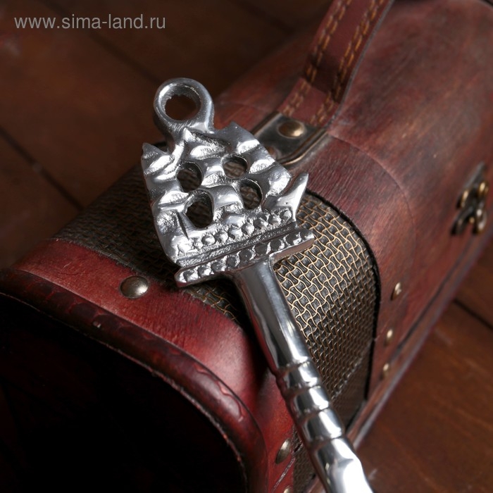 Ложка для обуви Ложка для обуви "Корабль" алюминий 38х5х1 см