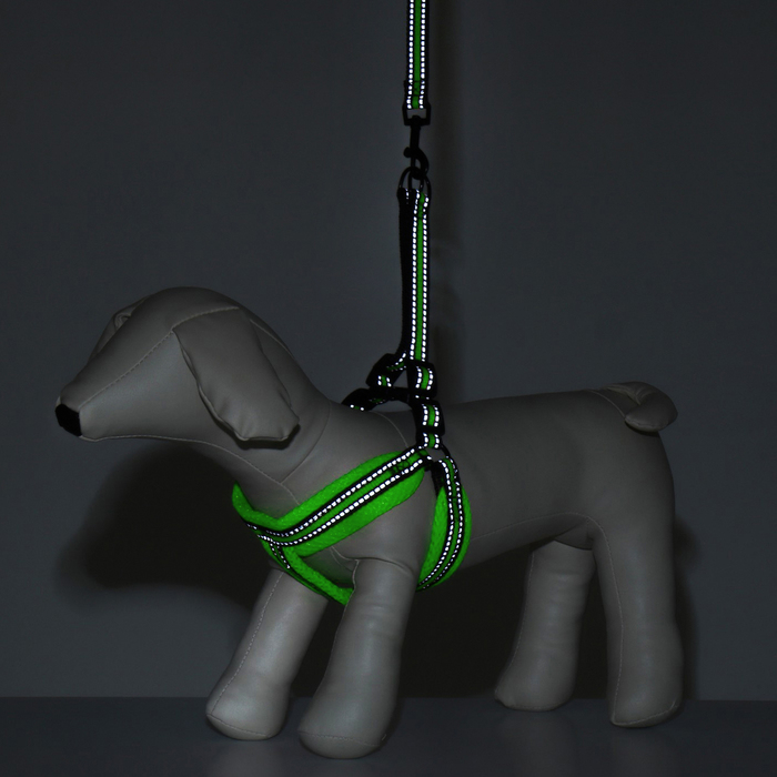 Комплект амуниции мягкий, светоотражающий, поводок 120 х 1,5 см, ОШ 35-53 см, жёлтый