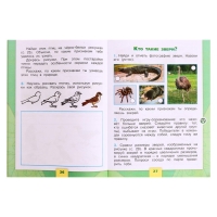 Рабочая тетрадь &laquo;Окружающий мир 1 класс&raquo;, В 2-х частях, Ч.1, Плешаков А. А., 2024