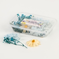 Набор сухоцветов &laquo;Лето на побережье&raquo;