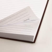 Ежедневник &laquo;Россия ВЕЛИКАЯ&raquo;, А5, 160 листов