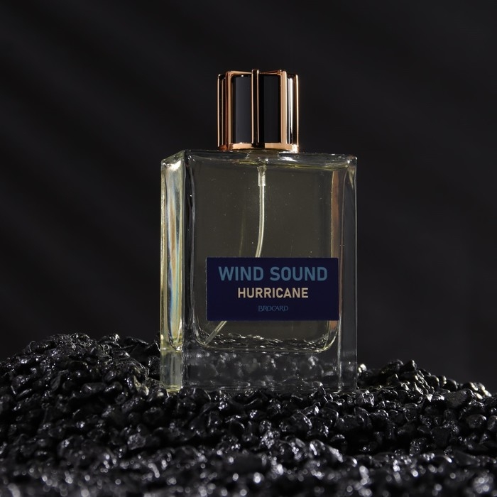 Туалетная вода мужская Туалетная вода мужская "Звук Ветра", "Ураган", 100 мл