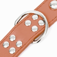 Ошейник "Сириус", кожзам с заклёпками, 56 х 3 см, ОШ 42-52, коричневый Ошейник "Сириус", кожзам с заклёпками, 56 х 3 см, ОШ 42-52, коричневый