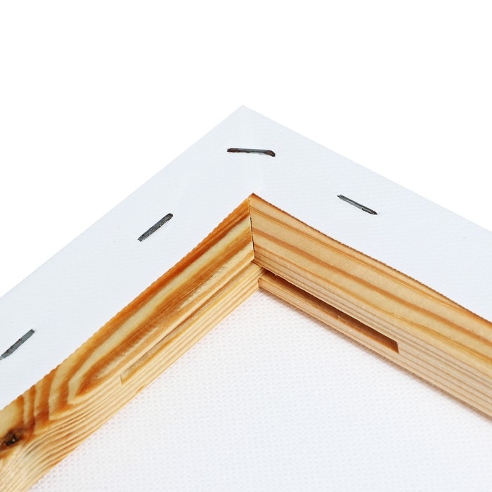 Холст на подрамнике 1,6х70х100 см, хлопок 100%, акриловый грунт, среднезернистый, 380г/м² Холст на подрамнике 1,6х70х100 см, хлопок 100%, акриловый грунт, среднезернистый, 380г/м²