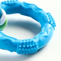 Игрушка жевательная с канатом "Кусочек солнца", 8 см, голубая Игрушка жевательная с канатом "Кусочек солнца", 8 см, голубая