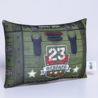 Подушка антистресс &laquo;23.02&raquo;, 30 х 20 см