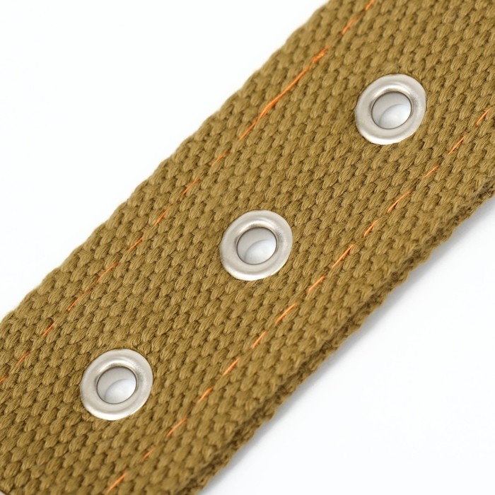 Ошейник брезентовый двухслойный, 72 х 3,5 см, песочный Ошейник брезентовый двухслойный, 72 х 3,5 см, песочный