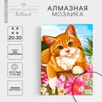 Алмазная мозаика с полным заполнением на холсте &laquo;Кот&raquo;, 20 х 30 см