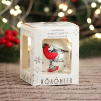 Шар "Веселый снегирь 3", 65 мм., в подарочной упаковке