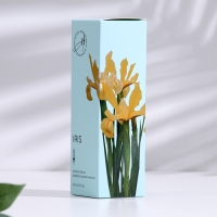 Диффузор ароматический,  "Iris", ирис, 60 мл
