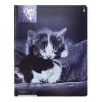 Тетрадь 48 листов в клетку "Котята мур-мур", обложка мелованный картон, гибридный лак, фольга, МИКС Тетрадь 48 листов в клетку "Котята мур-мур", обложка мелованный картон, гибридный лак, фольга, МИКС