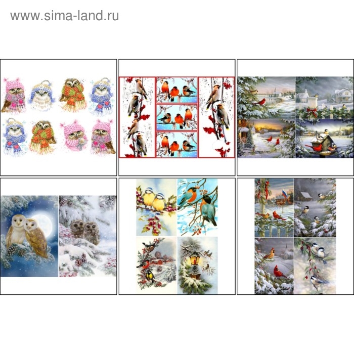Набор декупажных карт 6 шт "Птицы зимой" А4, 45 г/м2