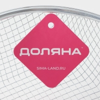 Фритюрница Доляна, d=22 см, цвет серебристый Фритюрница Доляна, d=22 см, цвет серебристый