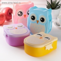 Ланч - бокс пластиковый с ложкой&laquo;Совушка&raquo;, 2 отделения: 300 мл, 450 мл, цвет МИКС