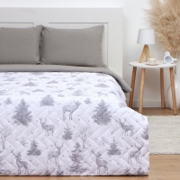 Покрывало LoveLife 2 сп "Зимняя сказка" 180*210&plusmn;5см, микрофайбер, 100% п/э