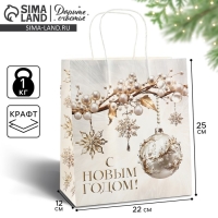 Пакет подарочный новогодний &laquo;С Новым годом&raquo;, белый крафт, 22 х 25 х 12 см , Новый год