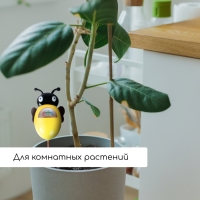 Измеритель влажности почвы &laquo;Пчёлка&raquo;