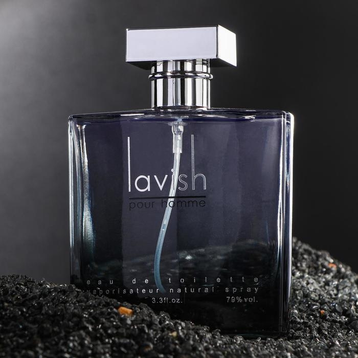 Туалетная вода мужская Lavish pour homme, 100 мл Туалетная вода мужская Lavish pour homme, 100 мл