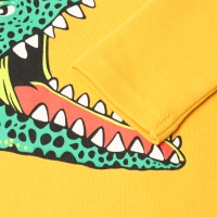 Лонгслив для мальчика, цвет тёмно-жёлтый, рост 98 см